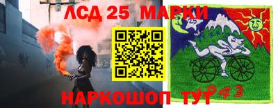 ПСИЛОЦИБИНОВЫЕ ГРИБЫ Бердск